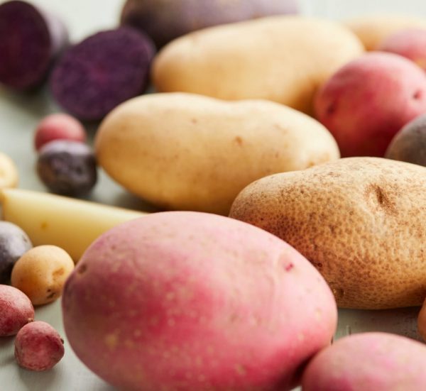 Fresh Potato Types