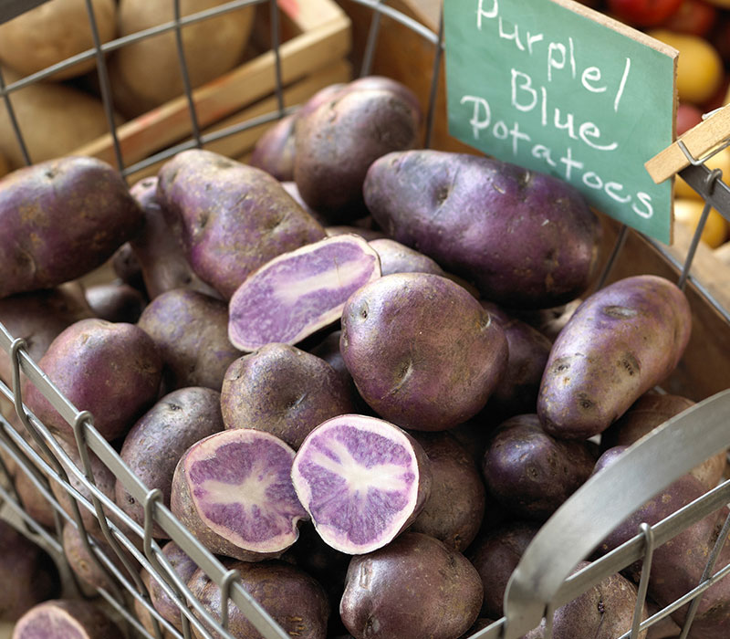 Potato Distributor Potato Recipes Potato Varieties Alsum