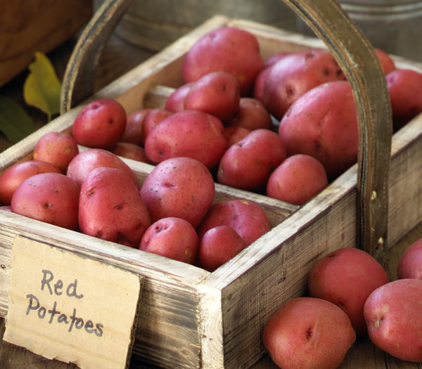 Red potatoes