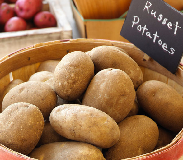 Potato Distributor Potato Recipes Potato Varieties Alsum