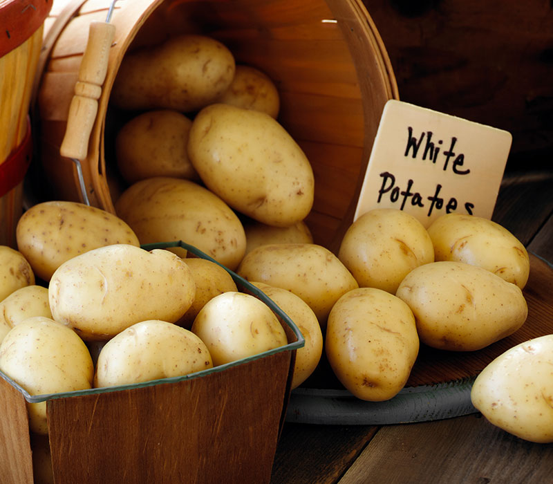 Potato Distributor Potato Recipes Potato Varieties Alsum