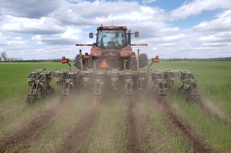 tilling pumpkin fields