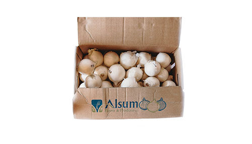 carton of Alsum white onions