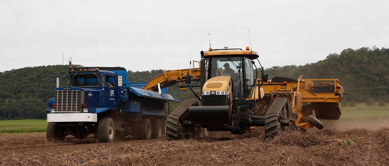 Harvesting Wisconsin Russets