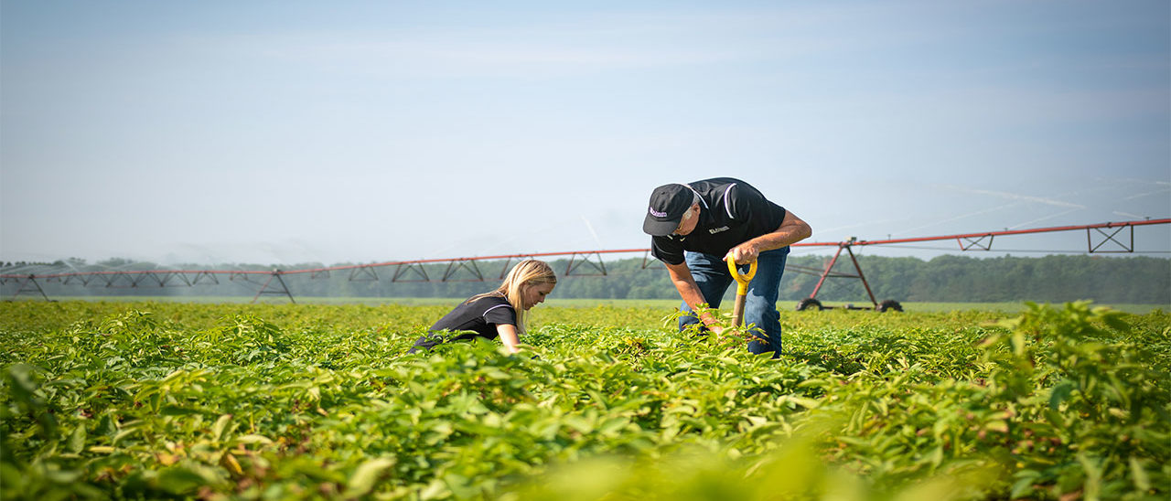 Wendy and Larry Alsum in Potato Field