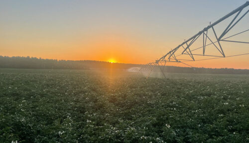 Alsum Farms, Grand Marsh, WI Sunset